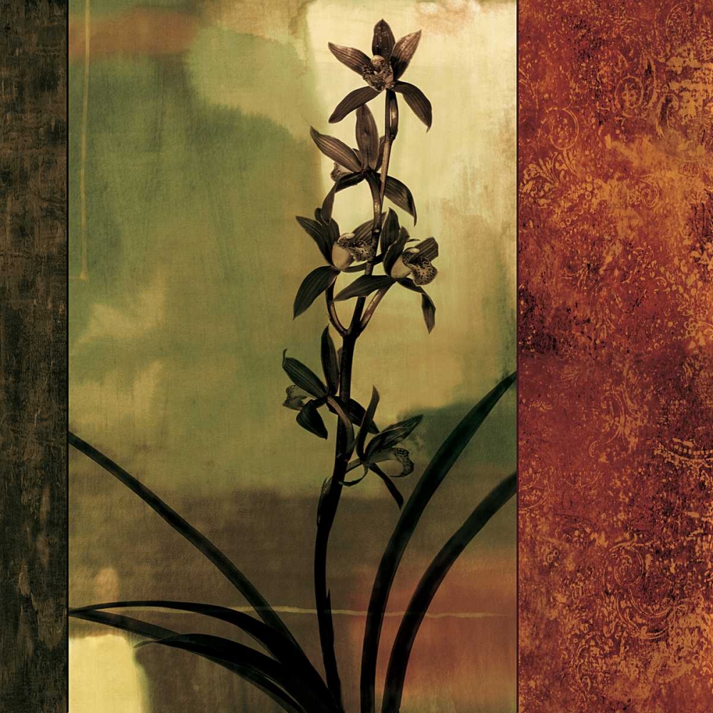 Mesmerized I art print by Chris Donovan for $57.95 CAD