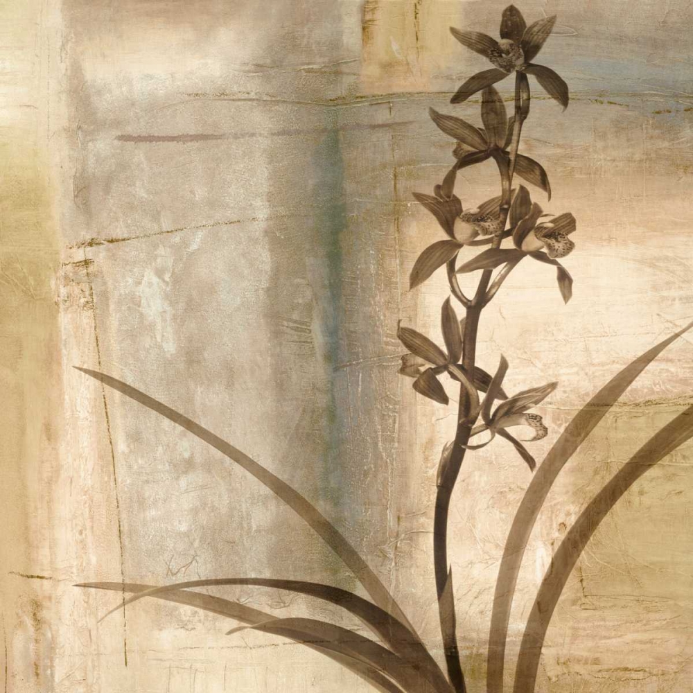 Shadow Dance II art print by Chris Donovan for $57.95 CAD