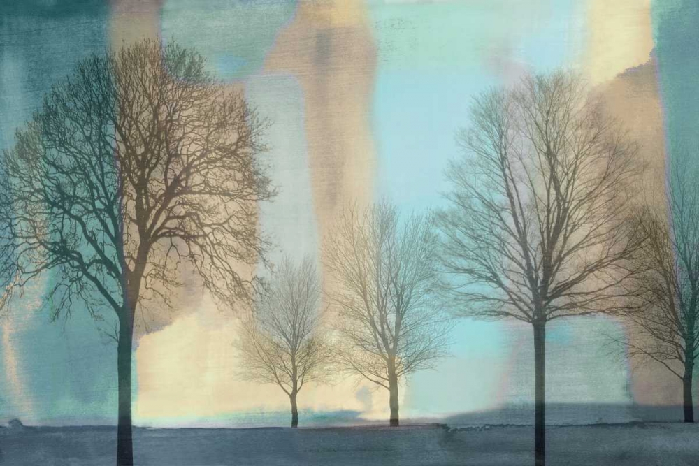 Misty Morning I art print by Chris Donovan for $57.95 CAD