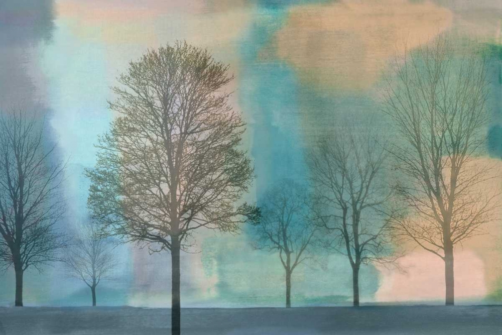 Misty Morning II art print by Chris Donovan for $57.95 CAD