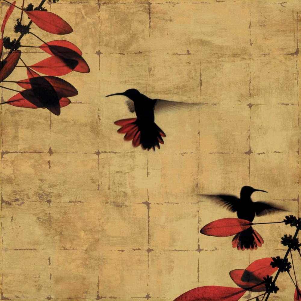 Colibri I art print by Chris Donovan for $57.95 CAD