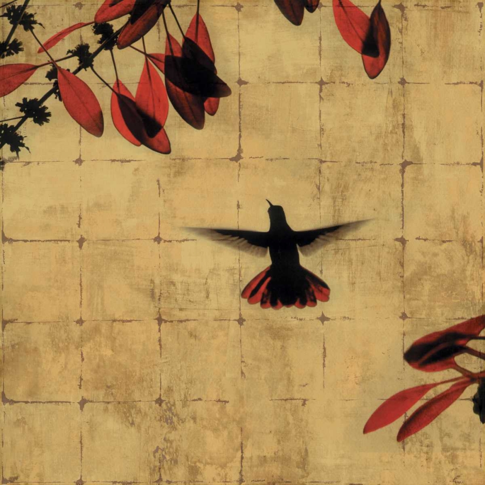 Colibri II art print by Chris Donovan for $57.95 CAD