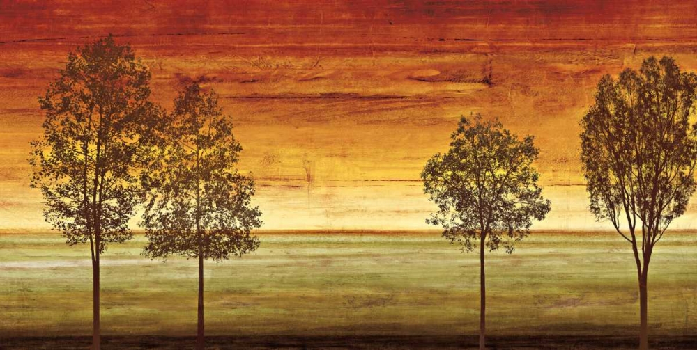 Sunset Vista II art print by Chris Donovan for $57.95 CAD