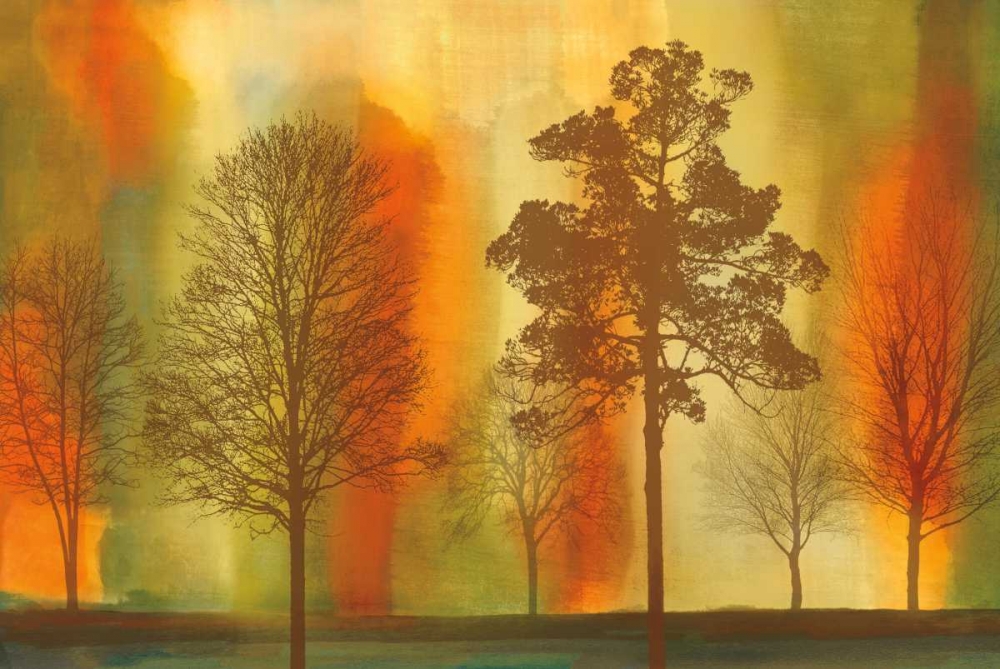Sunset I art print by Chris Donovan for $57.95 CAD