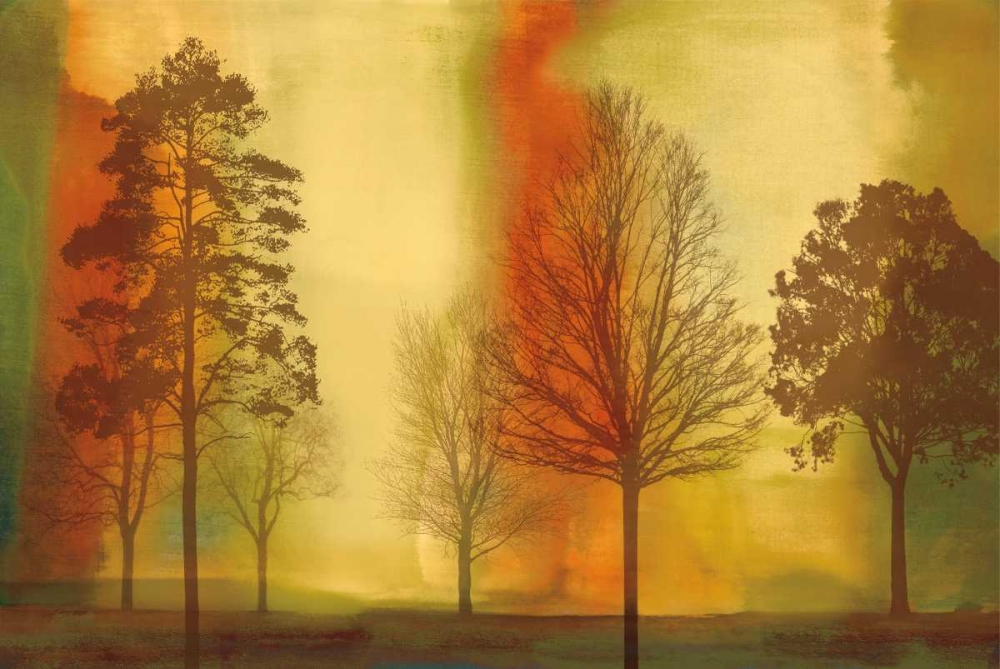 Sunset II art print by Chris Donovan for $57.95 CAD