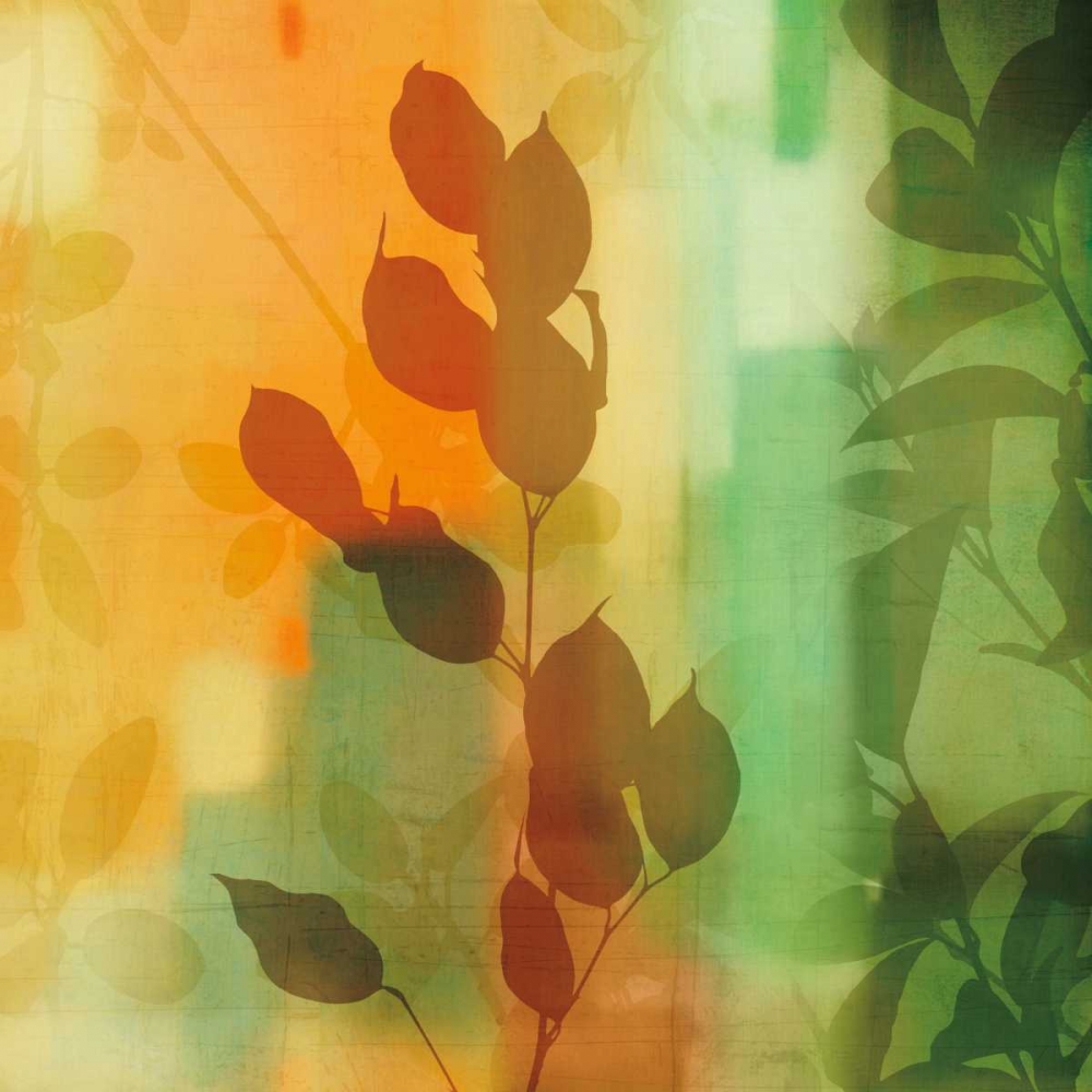 Natures Glow II art print by Chris Donovan for $57.95 CAD