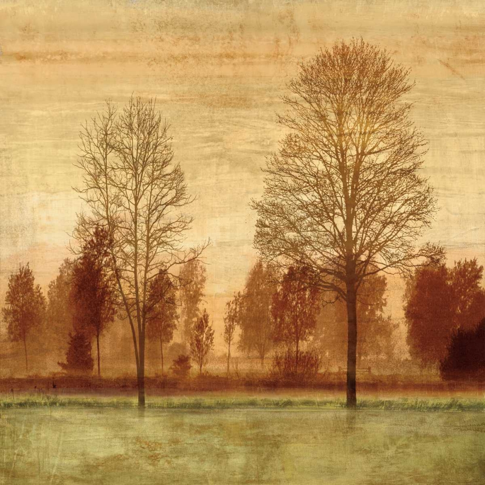 Golden Sunrise I art print by Chris Donovan for $57.95 CAD