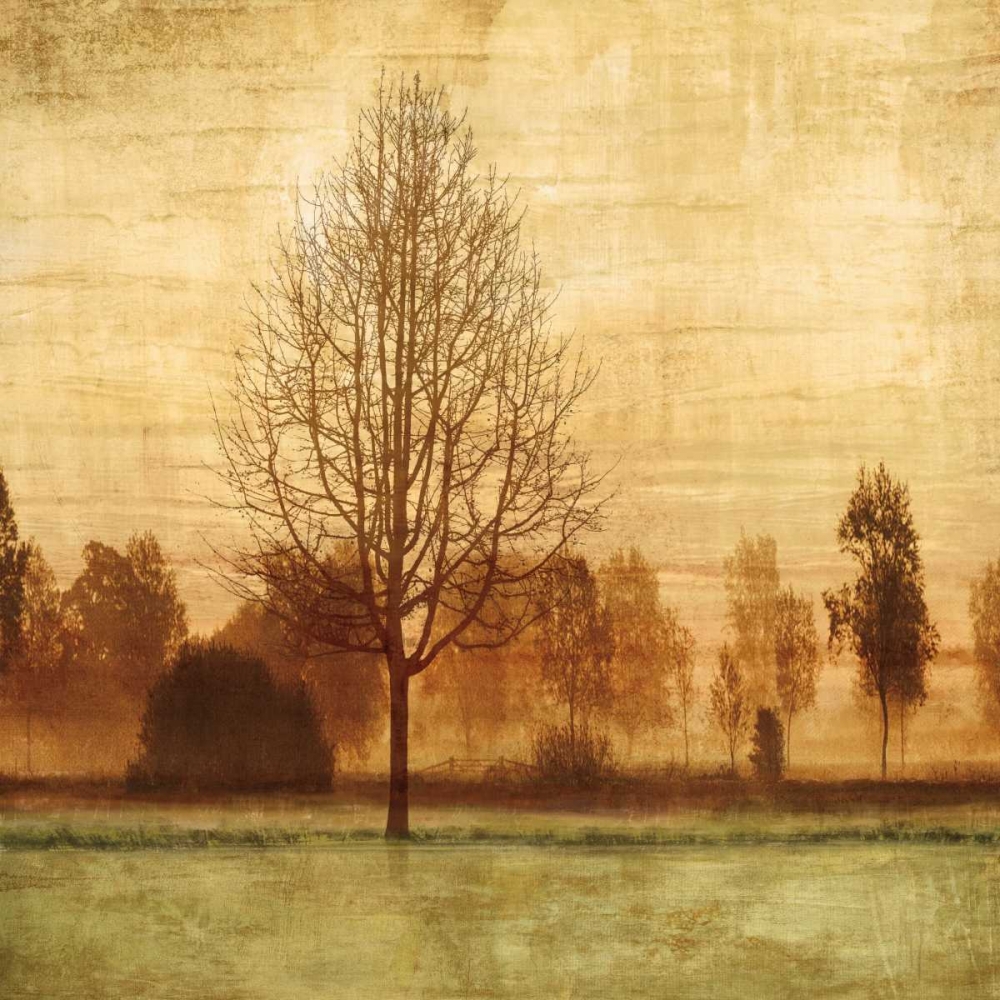 Golden Sunrise II art print by Chris Donovan for $57.95 CAD