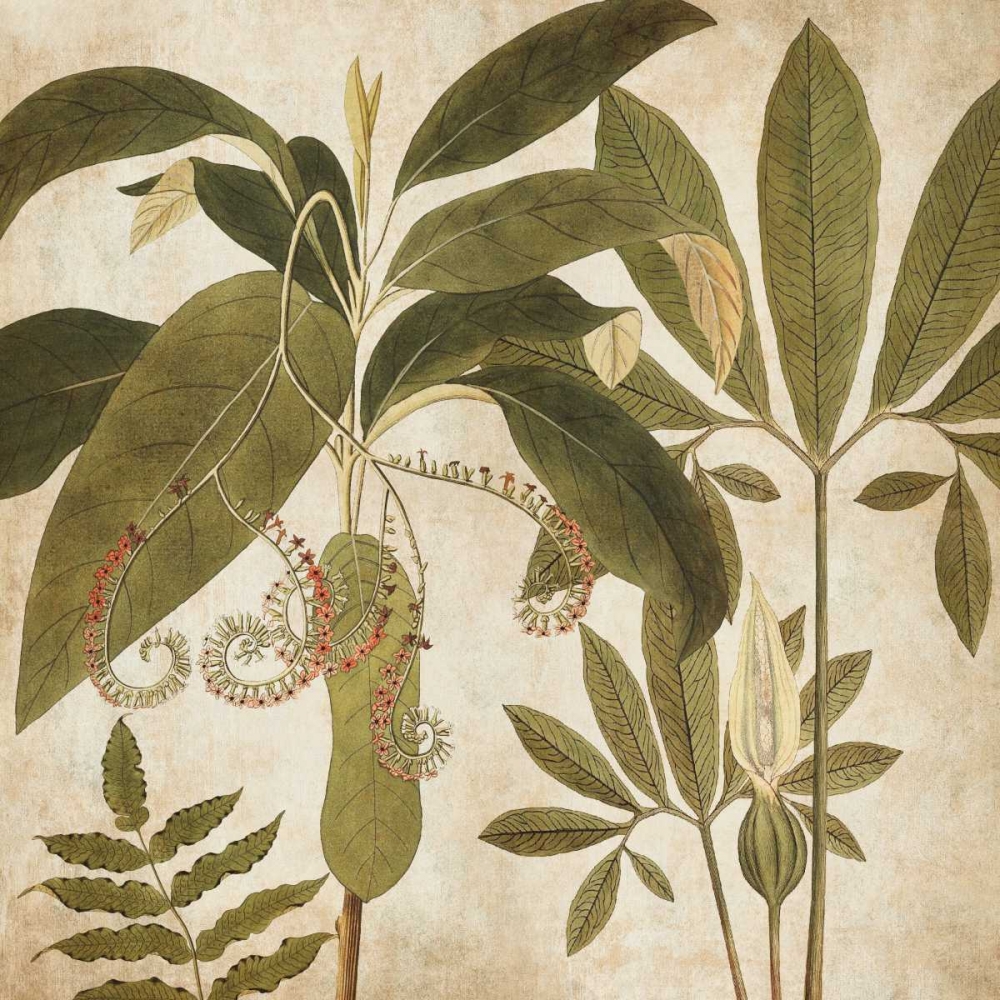 Palm Persuasion I art print by Chris Donovan for $57.95 CAD