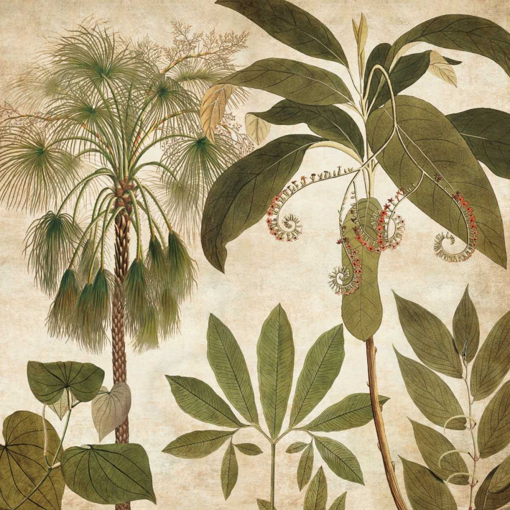Palm Persuasion II art print by Chris Donovan for $57.95 CAD
