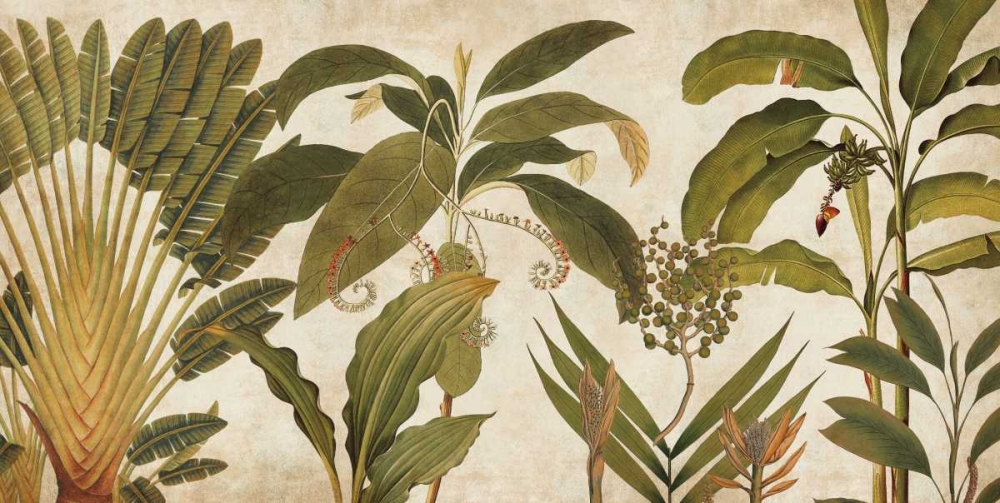 Palm Medley art print by Chris Donovan for $57.95 CAD