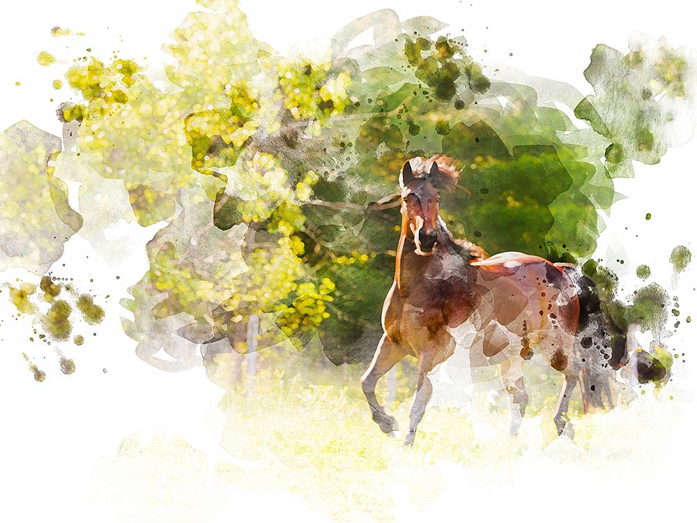 Stallion I art print by Chamira Young for $57.95 CAD