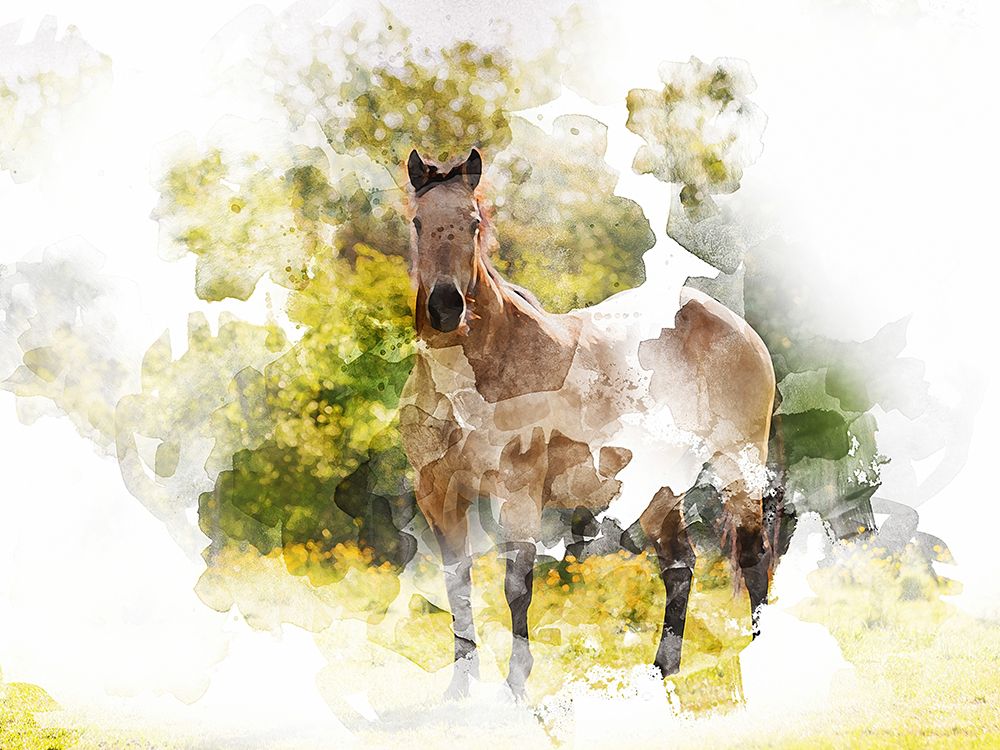 Stallion II art print by Chamira Young for $57.95 CAD