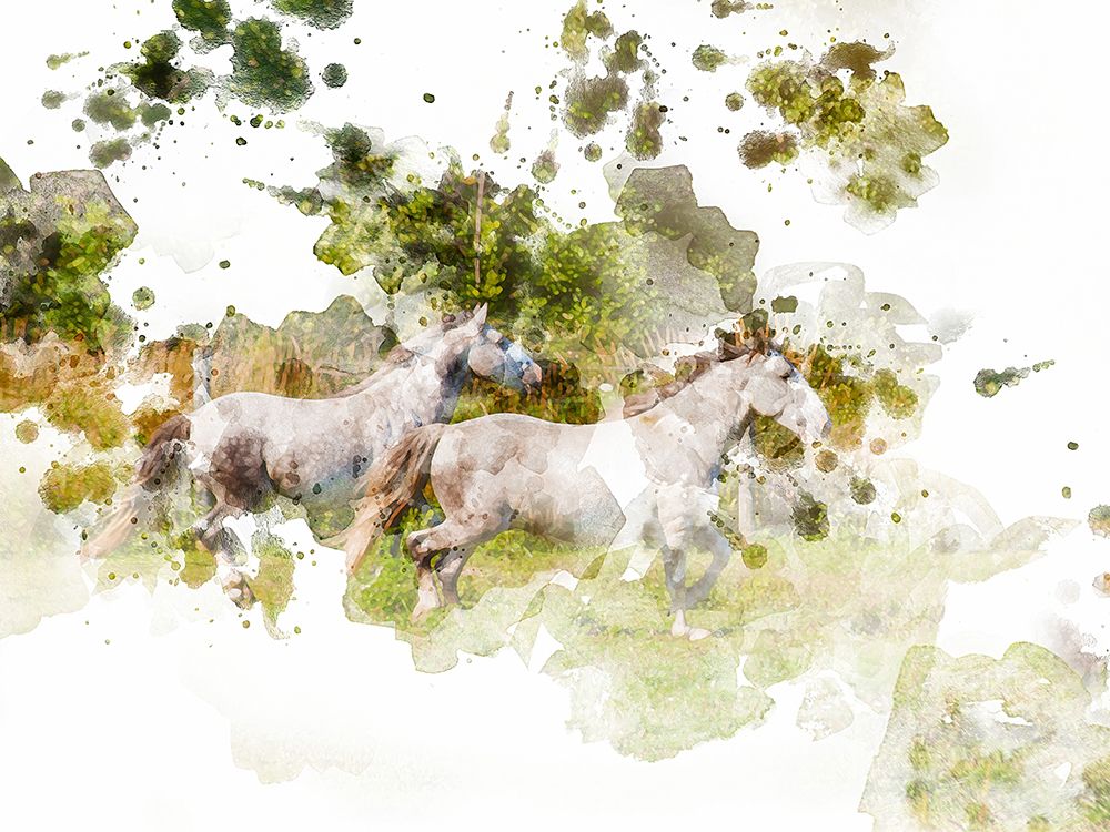 Stallions art print by Chamira Young for $57.95 CAD