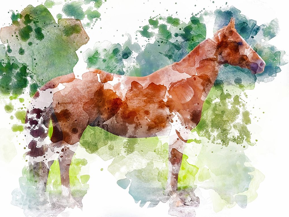 Equine Confirmation art print by Chamira Young for $57.95 CAD