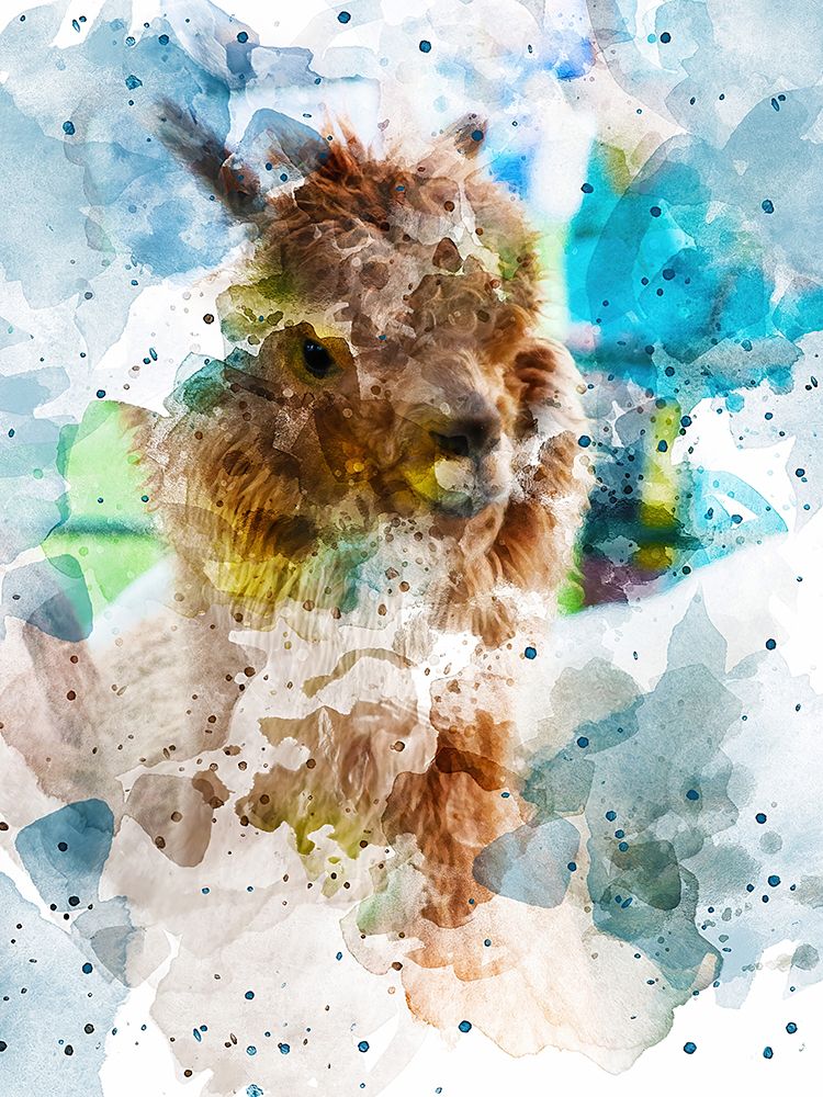 Alpaca art print by Chamira Young for $57.95 CAD