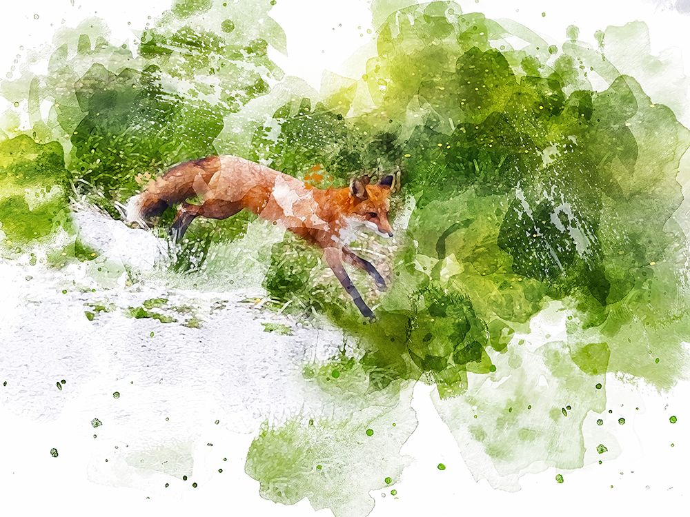Fox art print by Chamira Young for $57.95 CAD