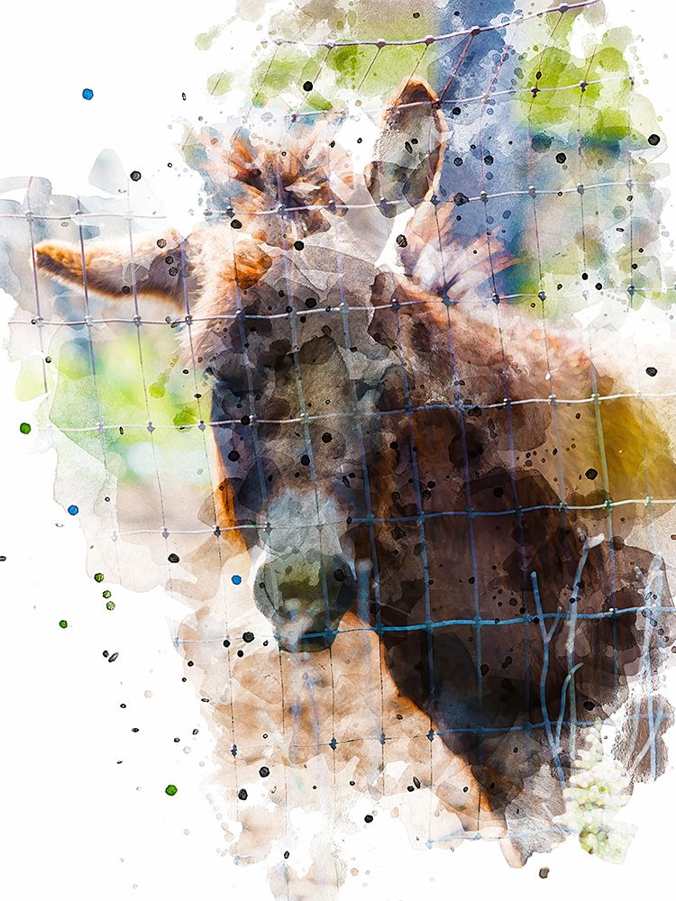 Donkey art print by Chamira Young for $57.95 CAD