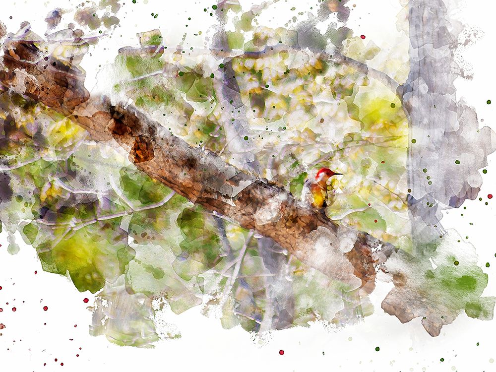 Lost Bird art print by Chamira Young for $57.95 CAD