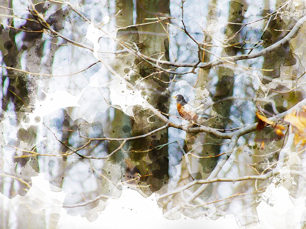 Lost Bird II art print by Chamira Young for $57.95 CAD