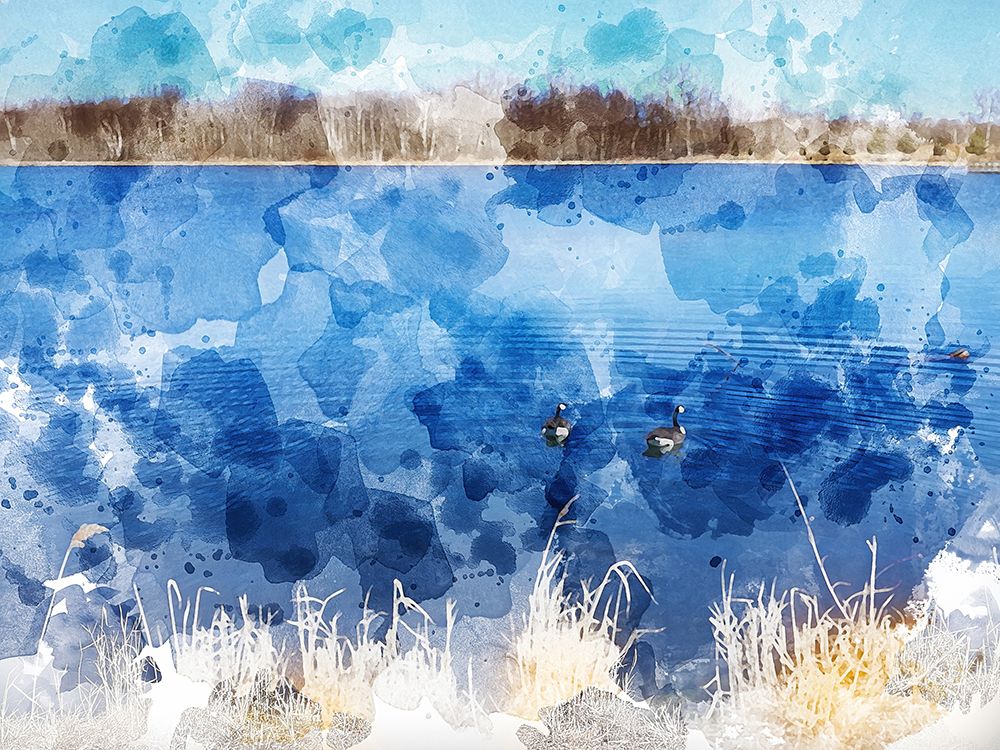 Canadian Geese II art print by Chamira Young for $57.95 CAD