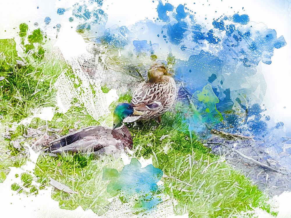 Duck I art print by Chamira Young for $57.95 CAD