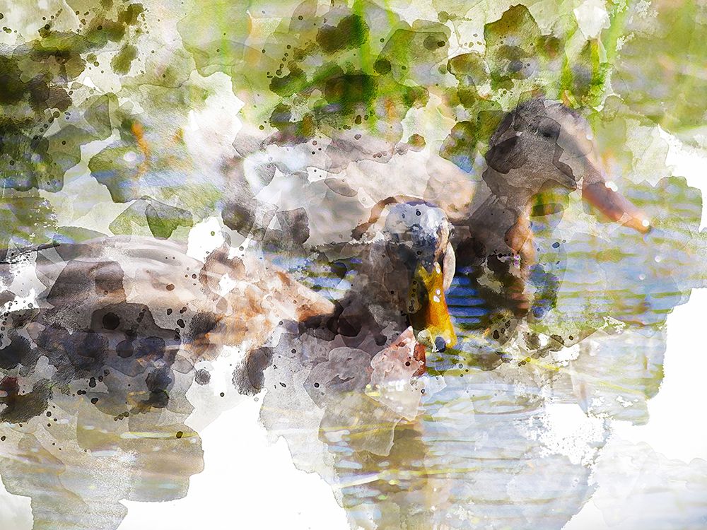 Ducks in Float I art print by Chamira Young for $57.95 CAD