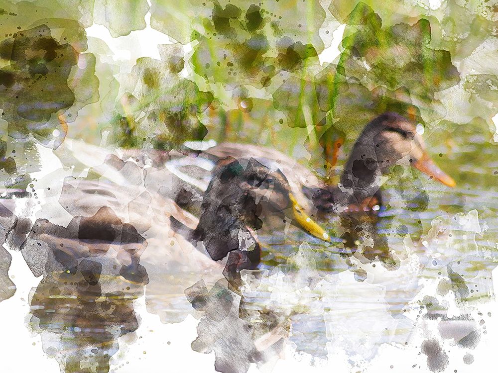 Ducks in Float II art print by Chamira Young for $57.95 CAD