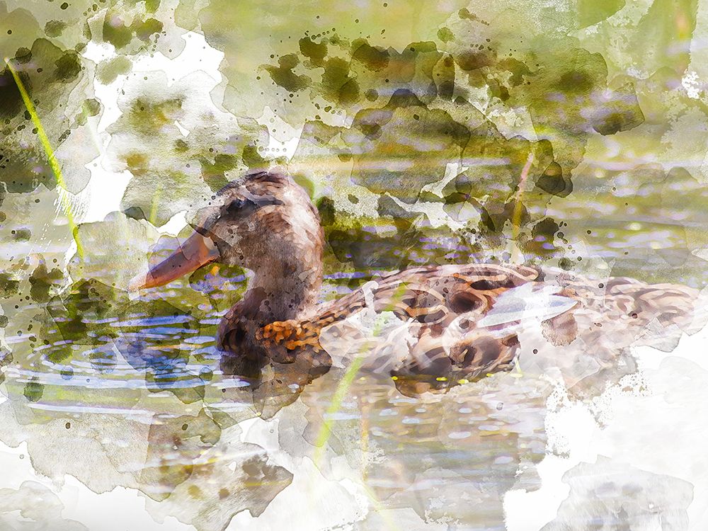 Ducks in Float III art print by Chamira Young for $57.95 CAD