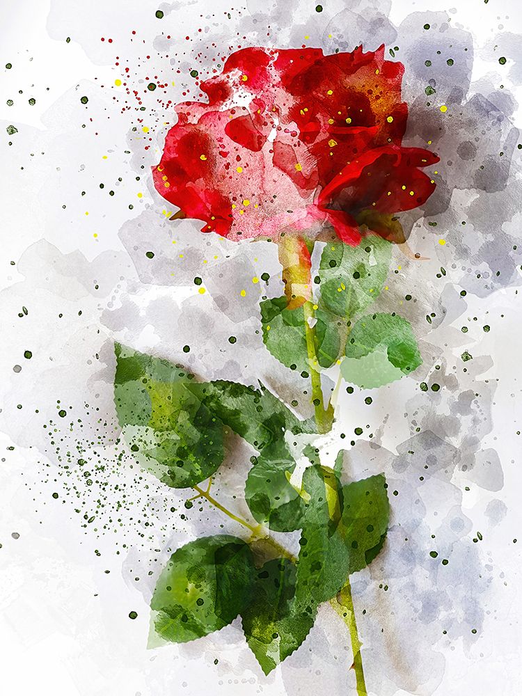 Rose in Bloom art print by Chamira Young for $57.95 CAD