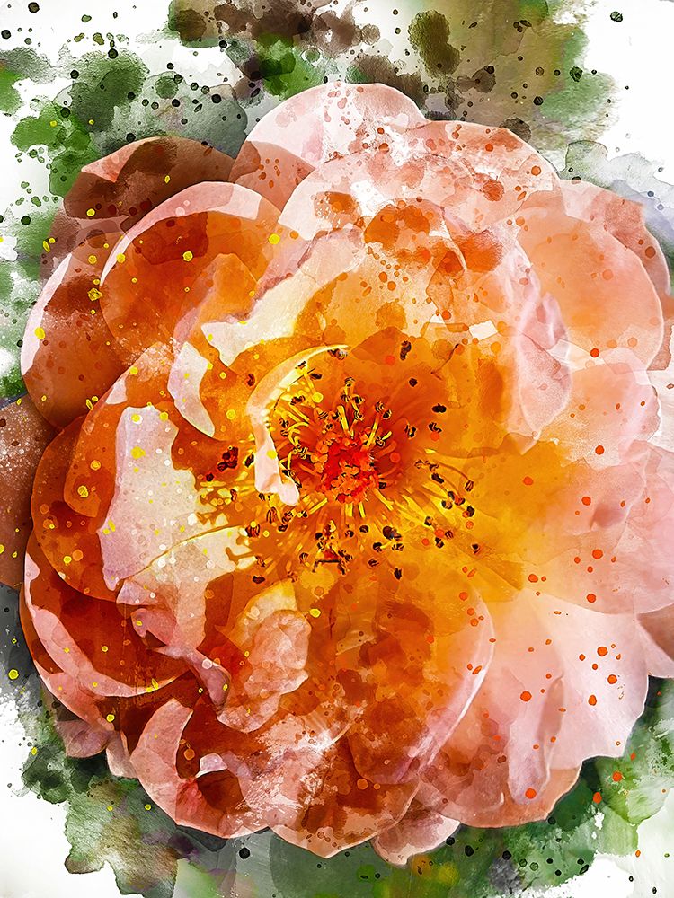 Floral in Bloom IV art print by Chamira Young for $57.95 CAD