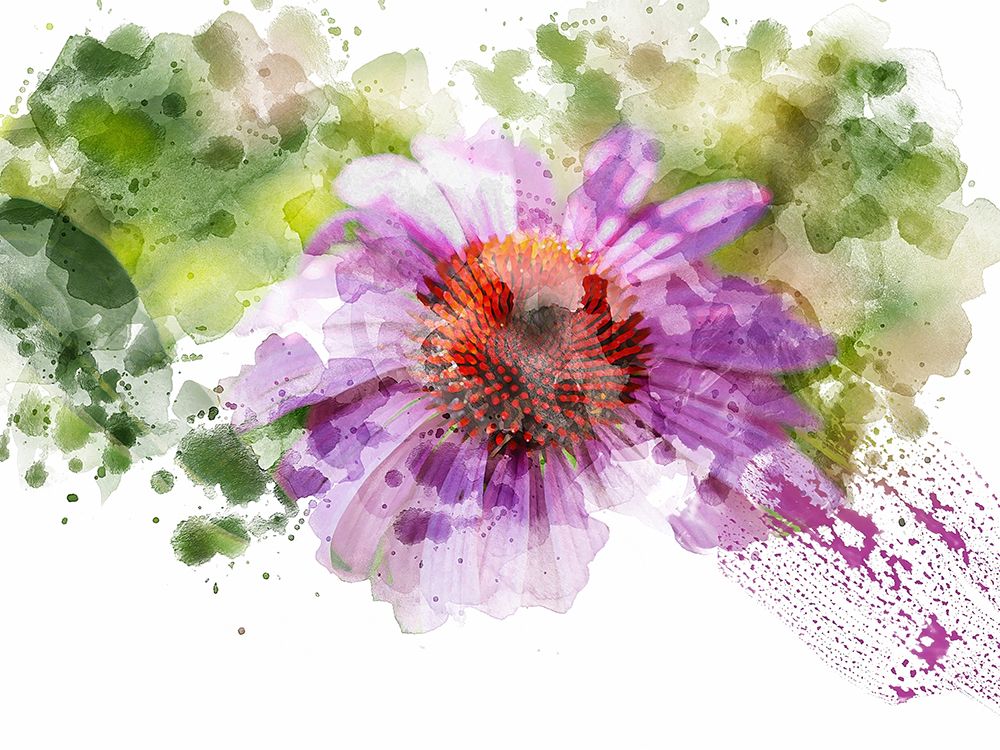 Floral in Bloom XI art print by Chamira Young for $57.95 CAD