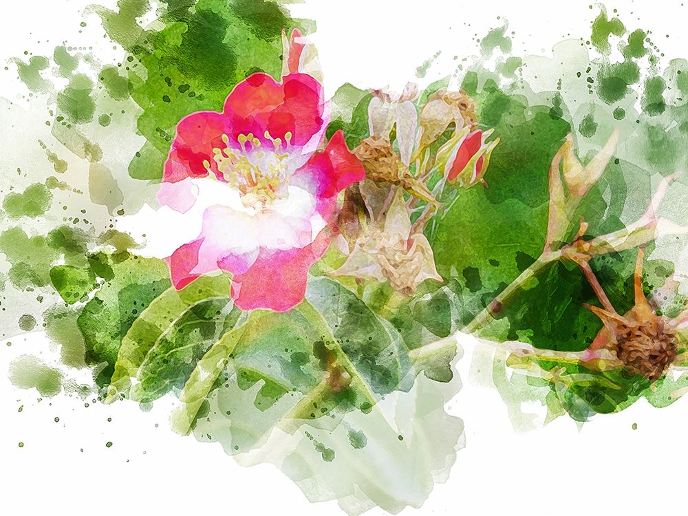 Floral in Bloom XIII art print by Chamira Young for $57.95 CAD
