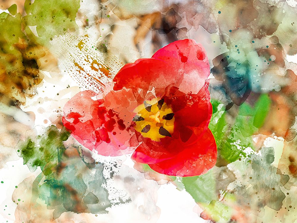 Floral in Bloom XV art print by Chamira Young for $57.95 CAD