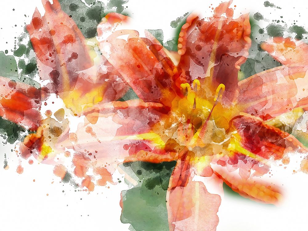 Floral in Bloom XVII art print by Chamira Young for $57.95 CAD