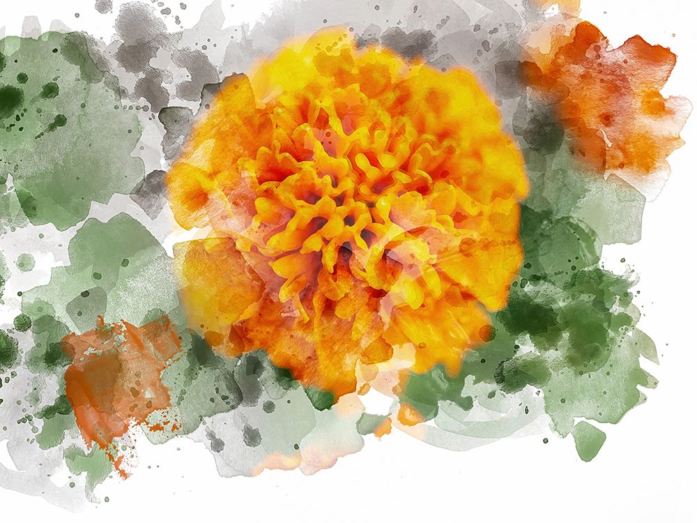 Floral in Bloom XIX art print by Chamira Young for $57.95 CAD