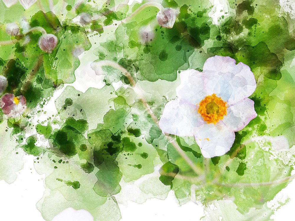 Floral in Bloom XXII art print by Chamira Young for $57.95 CAD