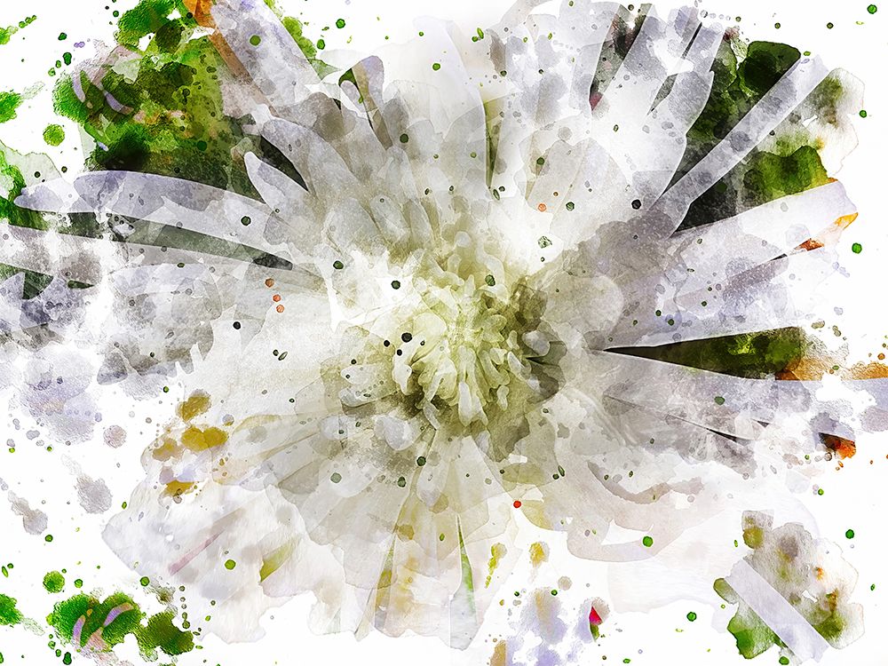 Floral in Bloom XXIII art print by Chamira Young for $57.95 CAD