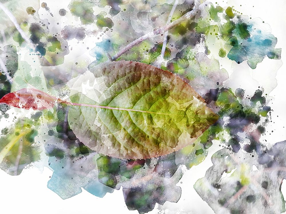 Leaf in Shadow art print by Chamira Young for $57.95 CAD