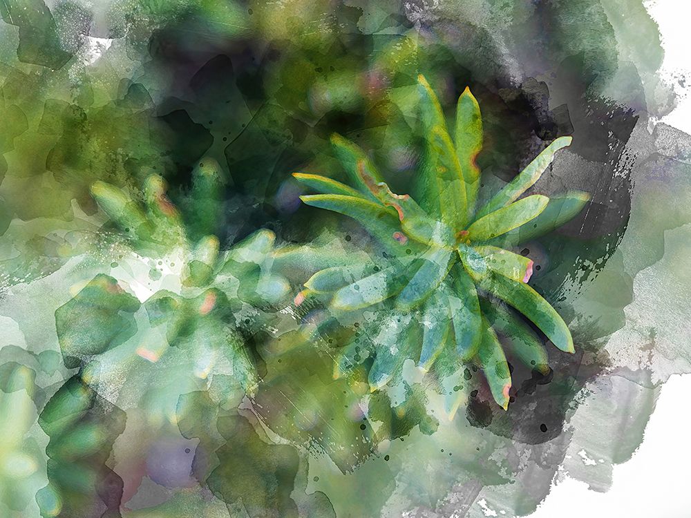 Succulent Leaves art print by Chamira Young for $57.95 CAD