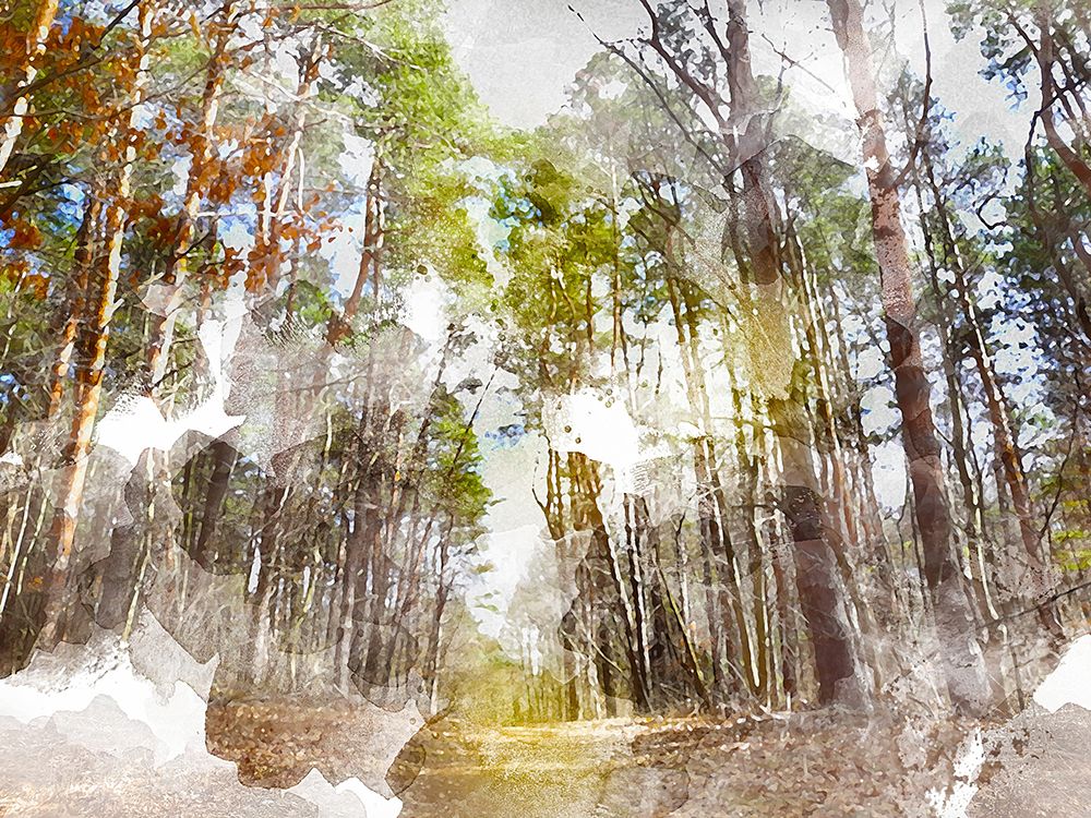 Forest Road I art print by Chamira Young for $57.95 CAD