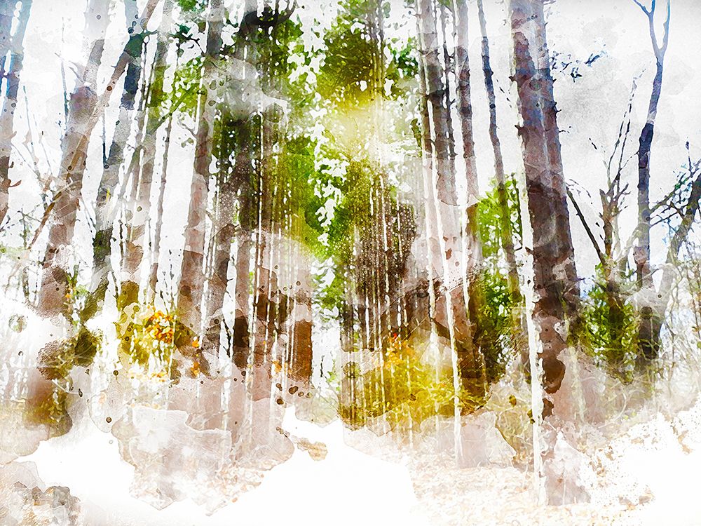Forest Road II art print by Chamira Young for $57.95 CAD