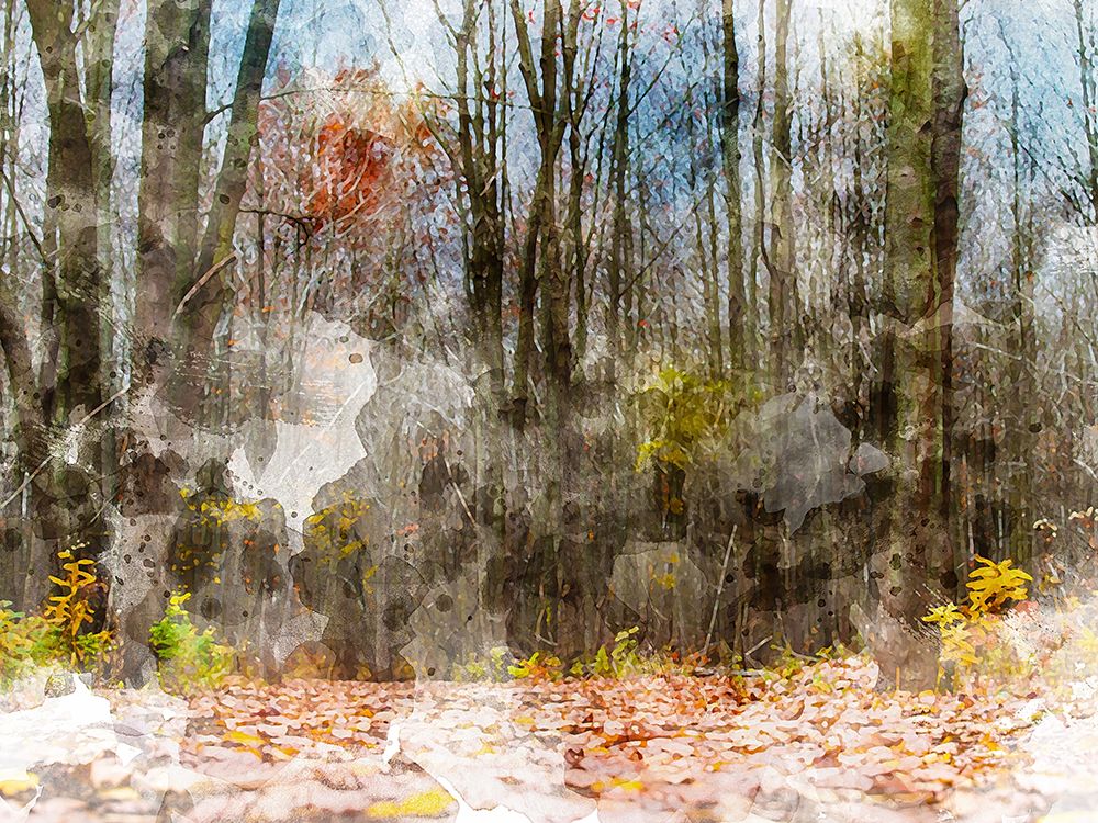 Forest Trees art print by Chamira Young for $57.95 CAD