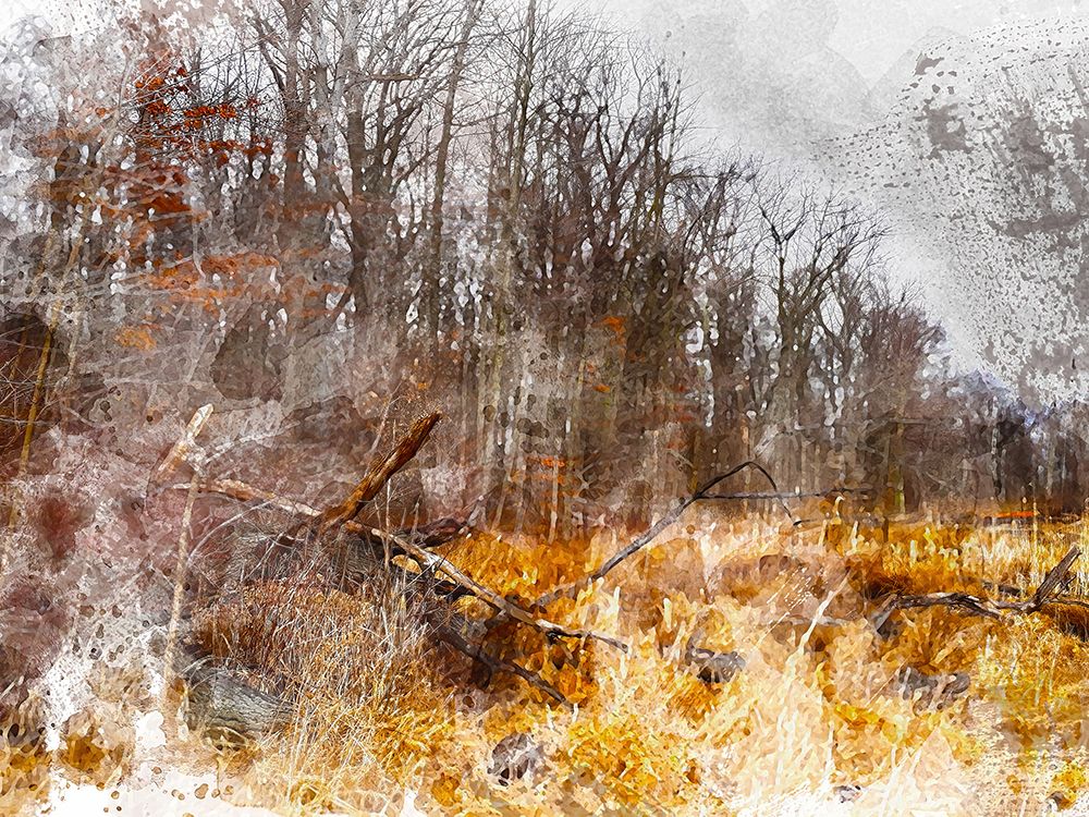 Autumn Forest I art print by Chamira Young for $57.95 CAD