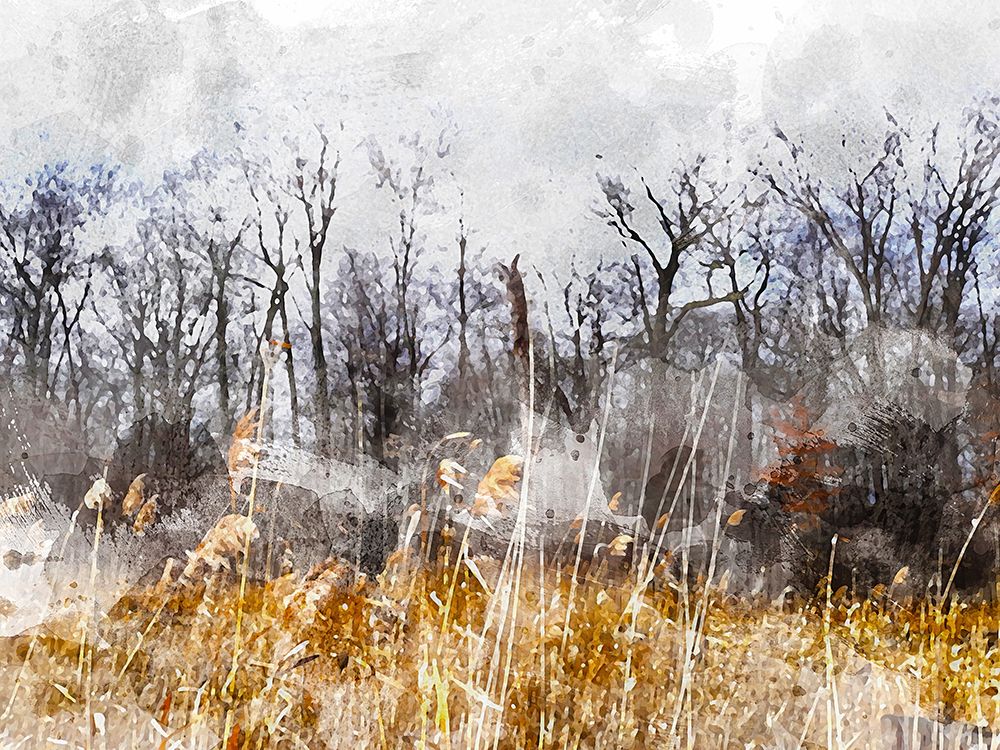 Branches in the Sky art print by Chamira Young for $57.95 CAD