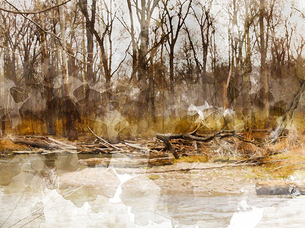 Autumn Forest II art print by Chamira Young for $57.95 CAD
