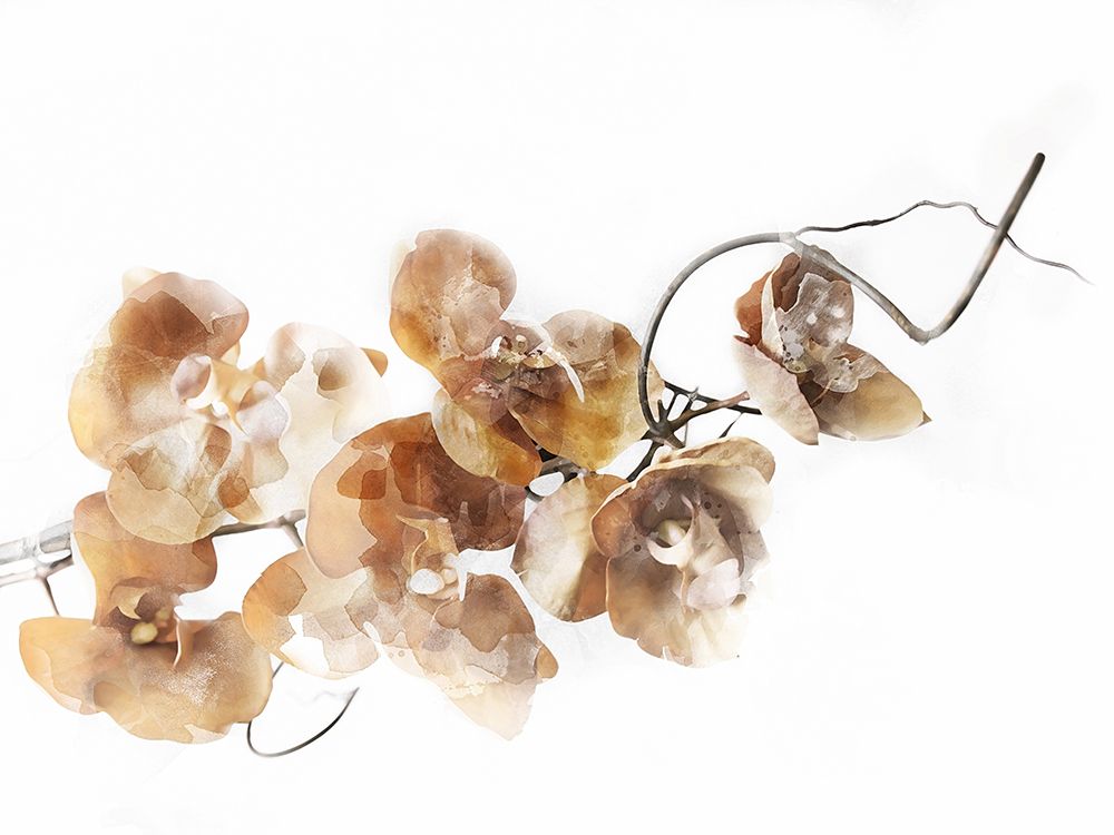 Floral Branch I art print by Chamira Young for $57.95 CAD