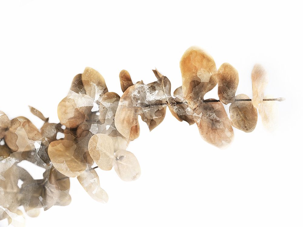 Floral Branch II art print by Chamira Young for $57.95 CAD