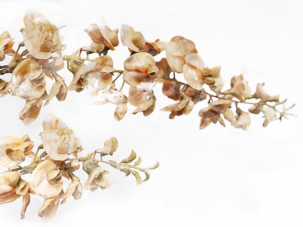Floral Branch III art print by Chamira Young for $57.95 CAD