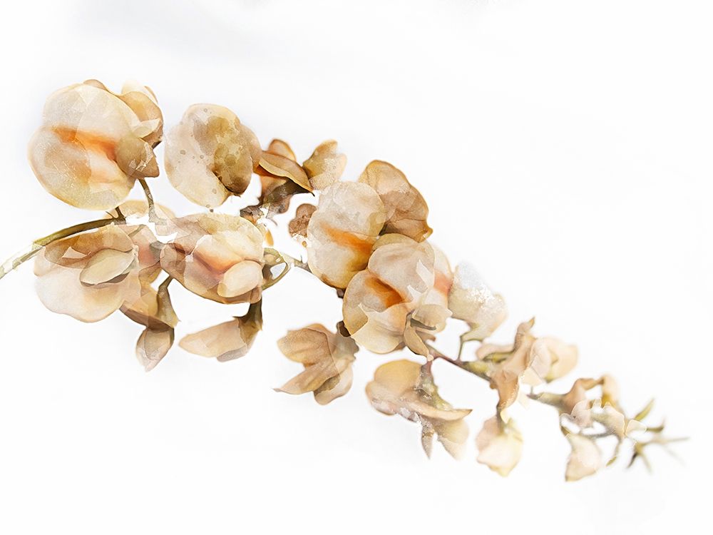Floral Branch IV art print by Chamira Young for $57.95 CAD